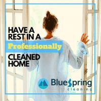 BlueSpring Cleaning image 3